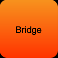 Brand Name Type: Bridge