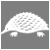Australian Wildlife Society
